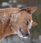dsc05950_optimized
